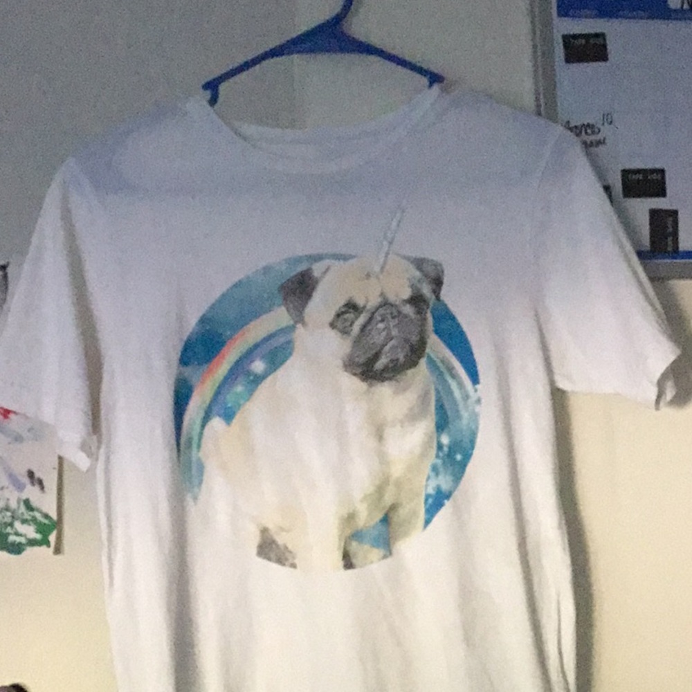 Pug rainbow shirt from hot topic